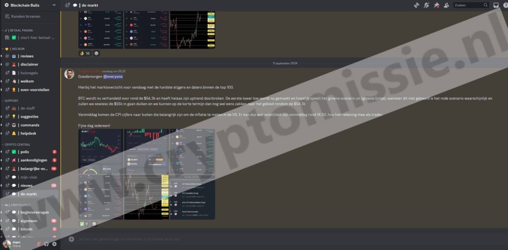 Op deze foto zie je BlockChain Bulls. Mijn #3 beste crypto signalen